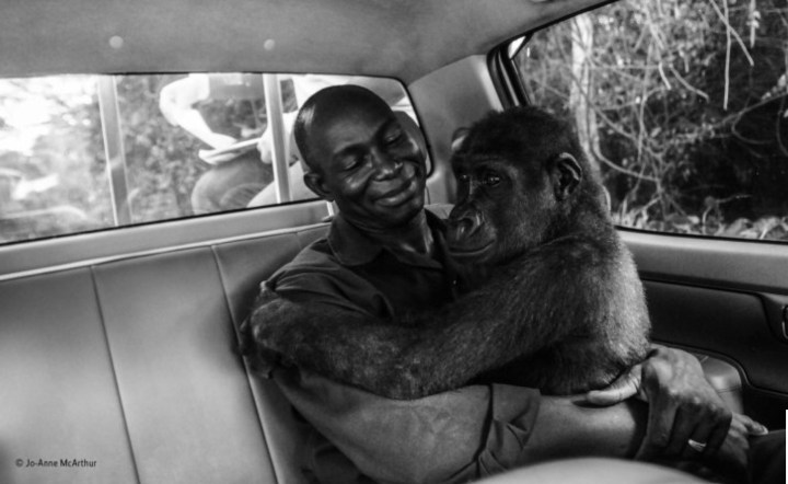 F5CDE392-647E-4604-947D-42FA87C11141